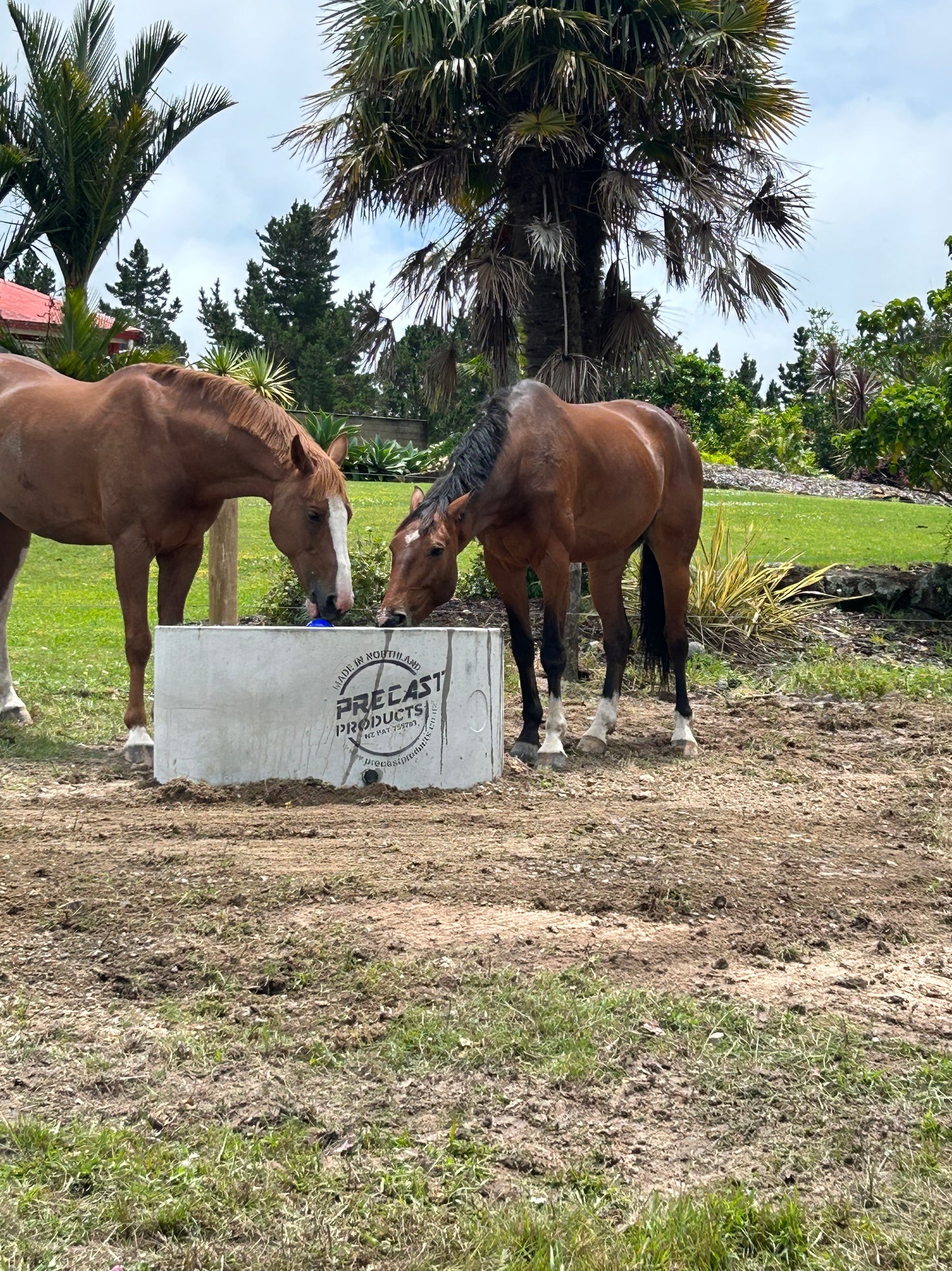 Premium Ballcock Protected Concrete Troughs