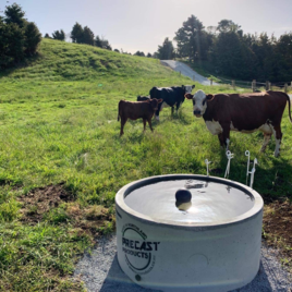 Innovative and Unique Premium Ballcock Protected Concrete Troughs